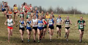 Early stages of the senior womens 2018 Northern Cross Country Champs., Harewood House, Leeds. Photo: David T. Hewitson/Sports for All Pics